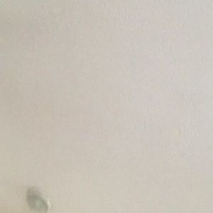 Meet your Posher, Cornelia